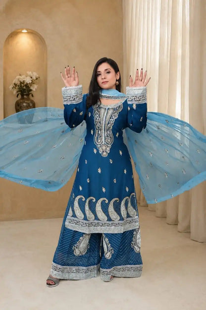 3 PC Embroidered Chiffon (DDS0004)