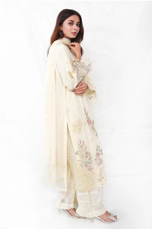 3 PC Chiffon Embroidered (DDS0005)