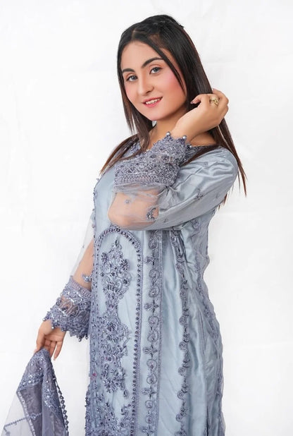 Heavy Net Embroidered 3 PC (DDS0009)