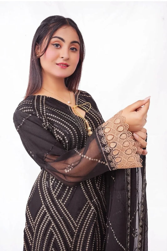 3 PC Embroidered Chiffon (DDS0010)