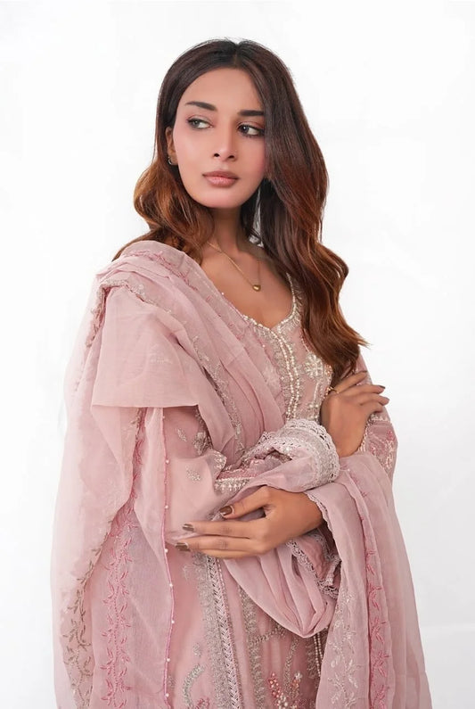 3 PC Embroidered Chiffon (DDS0007)